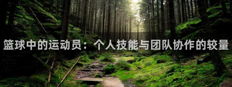 篮球中的运动员：个人技能与团队协作的较量