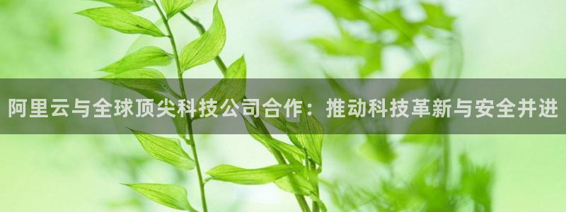 阿里云与全球顶尖科技公司合作：推动科技革新与安全并进