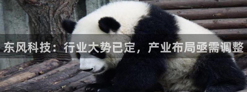 东风科技：行业大势已定，产业布局亟需调整