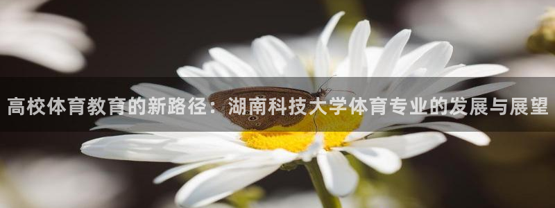 高校体育教育的新路径：湖南科技大学体育专业的发展与展望