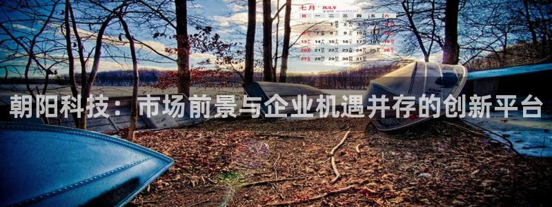 朝阳科技：市场前景与企业机遇并存的创新平台