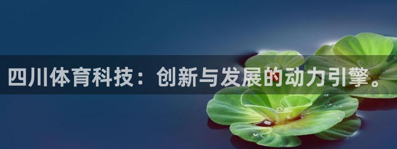 四川体育科技：创新与发展的动力引擎。