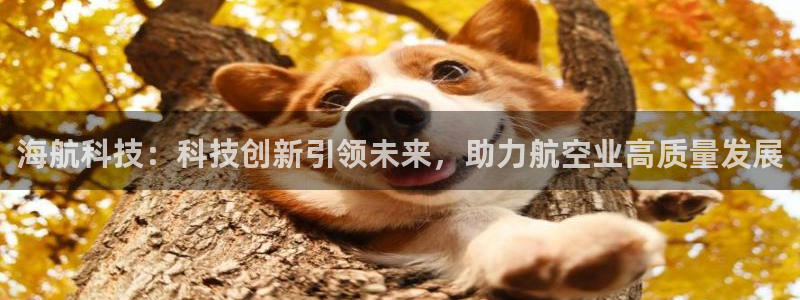 海航科技：科技创新引领未来，助力航空业高质量发展