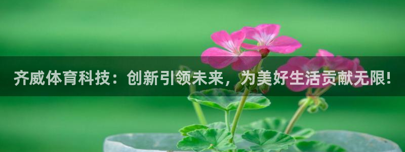 齐威体育科技：创新引领未来，为美好生活贡献无限!
