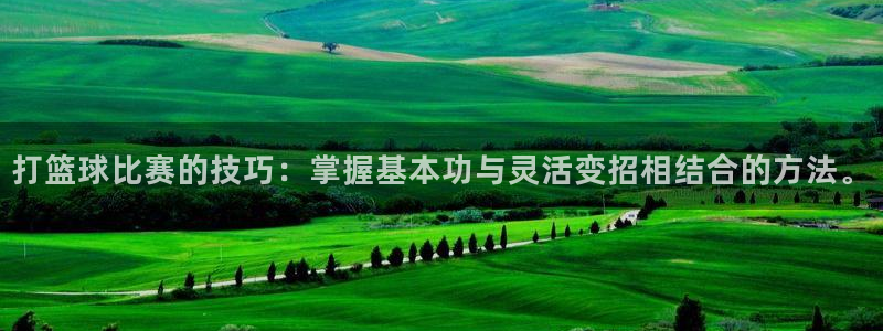 打篮球比赛的技巧：掌握基本功与灵活变招相结合的方法。