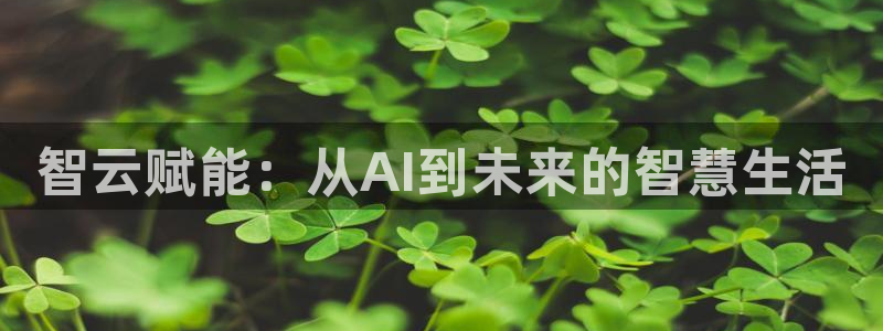智云赋能：从AI到未来的智慧生活