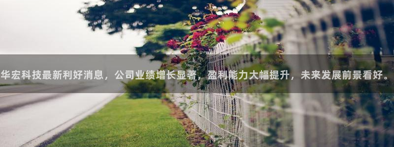 华宏科技最新利好消息，公司业绩增长显著，盈利能力大幅提升，未来发展前景看好。