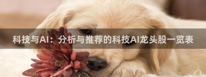科技与AI：分析与推荐的科技AI龙头股一览表