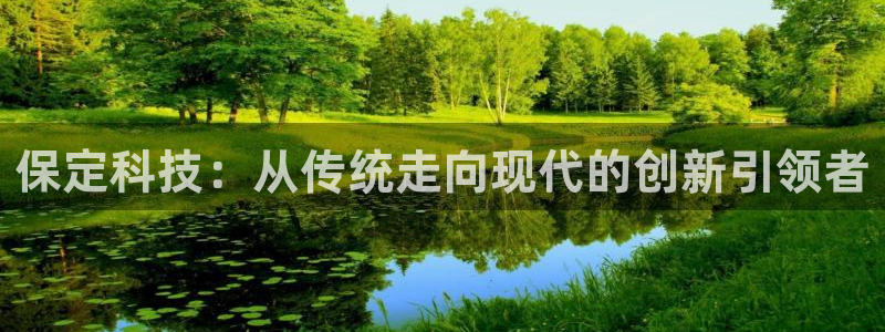 保定科技：从传统走向现代的创新引领者