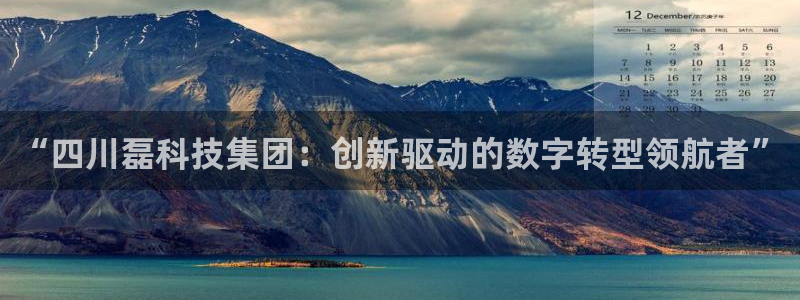 “四川磊科技集团：创新驱动的数字转型领航者”