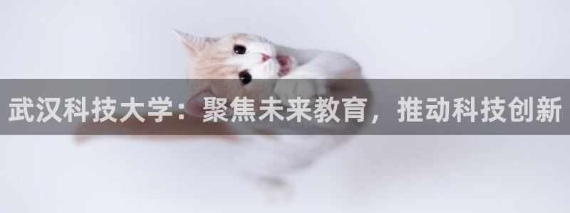 武汉科技大学：聚焦未来教育，推动科技创新