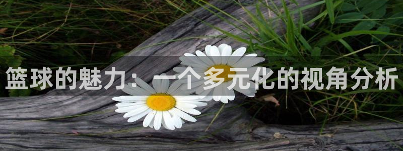 篮球的魅力：一个多元化的视角分析