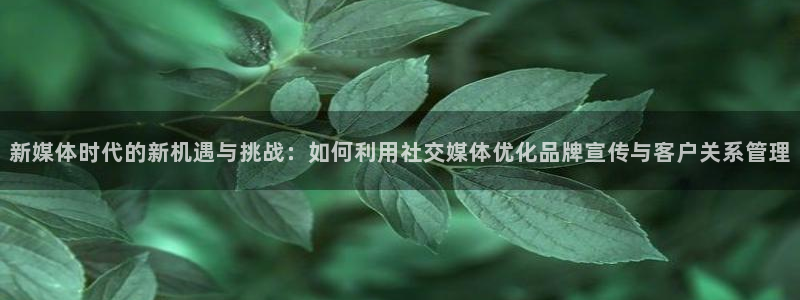 新媒体时代的新机遇与挑战：如何利用社交媒体优化品牌宣传与客户关系管理