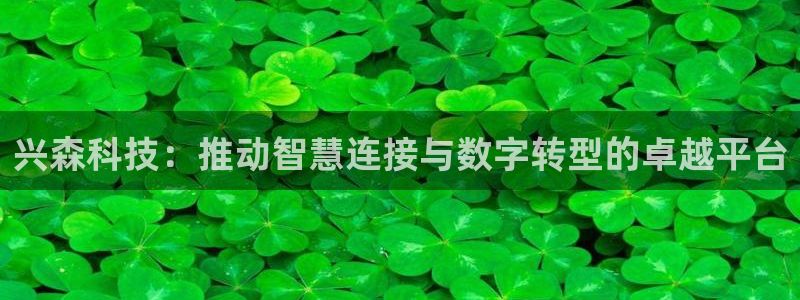 兴森科技：推动智慧连接与数字转型的卓越平台