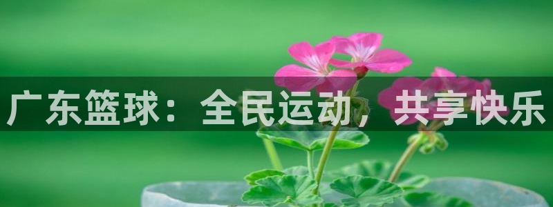 广东篮球：全民运动，共享快乐