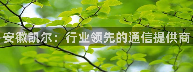 安徽凯尔：行业领先的通信提供商