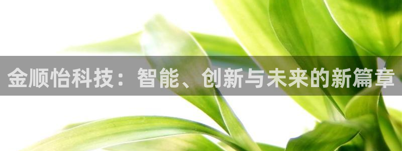 金顺怡科技：智能、创新与未来的新篇章