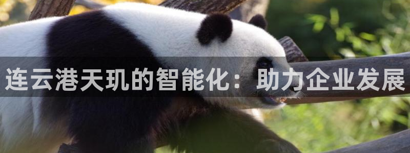 连云港天玑的智能化：助力企业发展