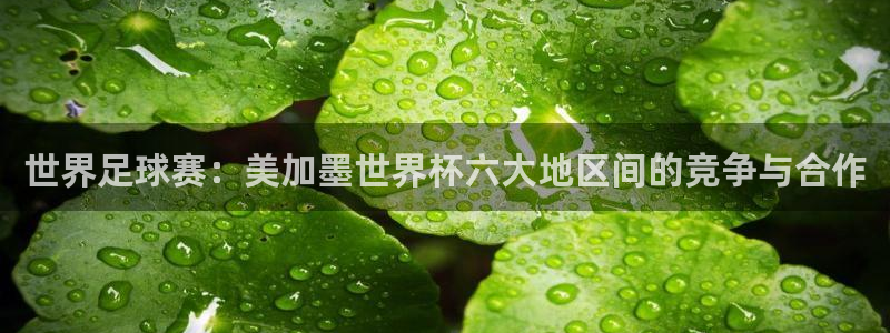 世界足球赛：美加墨世界杯六大地区间的竞争与合作