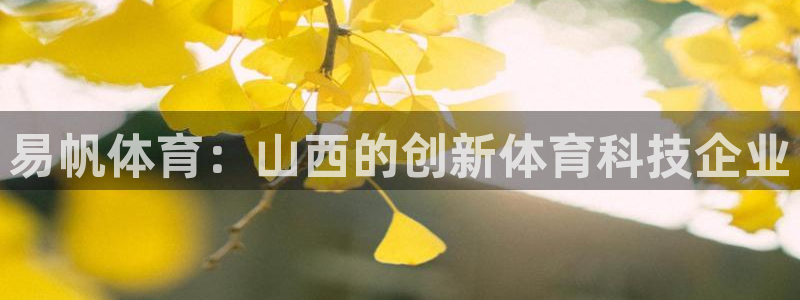 易帆体育：山西的创新体育科技企业