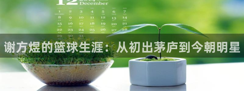 谢方煜的篮球生涯：从初出茅庐到今朝明星
