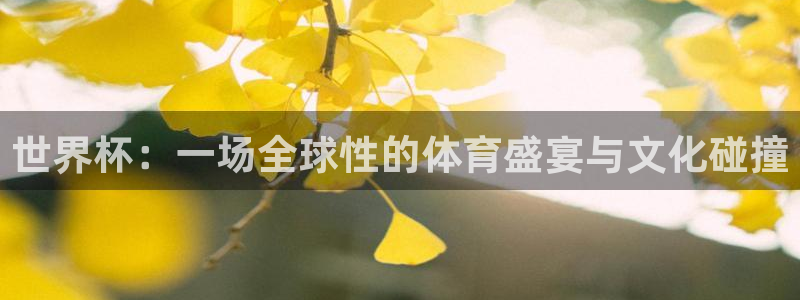 世界杯：一场全球性的体育盛宴与文化碰撞