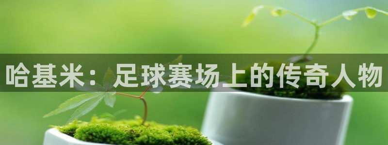 哈基米：足球赛场上的传奇人物