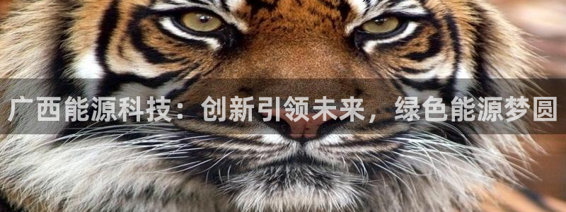 广西能源科技：创新引领未来，绿色能源梦圆