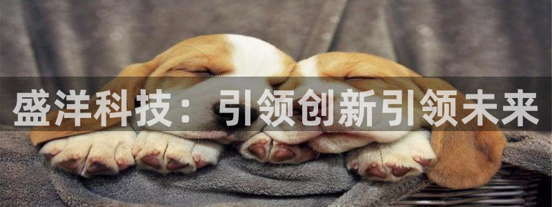 盛洋科技：引领创新引领未来