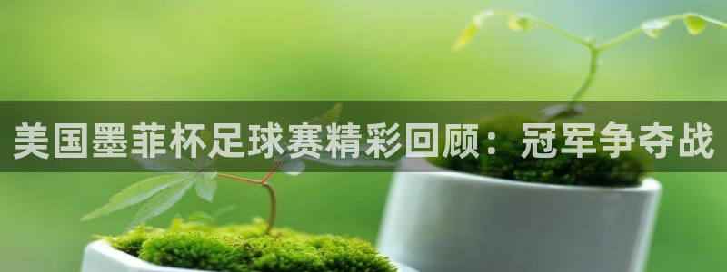 美国墨菲杯足球赛精彩回顾：冠军争夺战